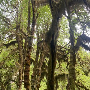 Olympic Hiking Co. - Hiking Near Me - Port Angeles, Washington