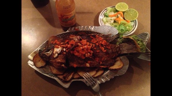 El Coco Loco by null