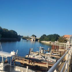 Manistee Inn & Marina - Boat docks at the hotel