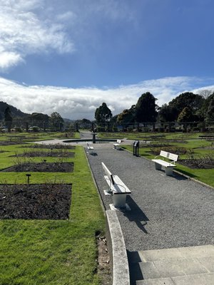 Wellington Botanic Garden by null