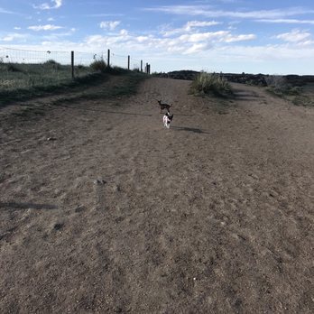 Glendale Open Space Dog Park - Dog Parks Near Me - Castle Rock, Colorado