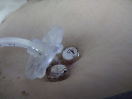 The Oaks of West Kettering