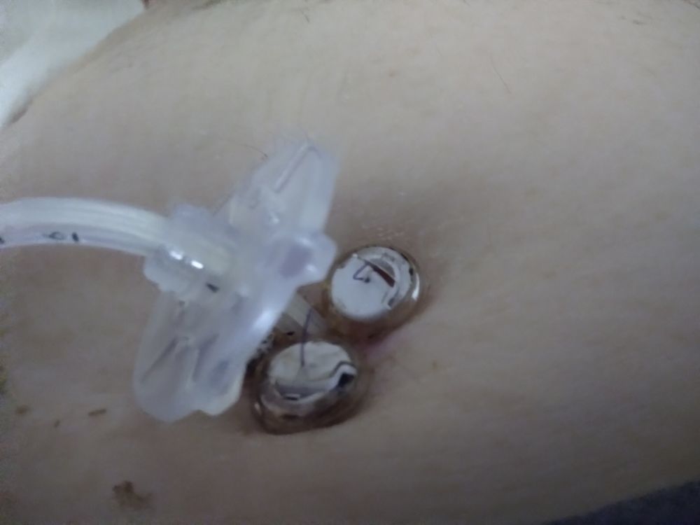 The Oaks of West Kettering - grief counselor in Dayton, OH