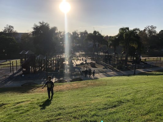 Polliwog Park by null