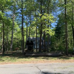 All Pro Tree Service - 8:00am - before