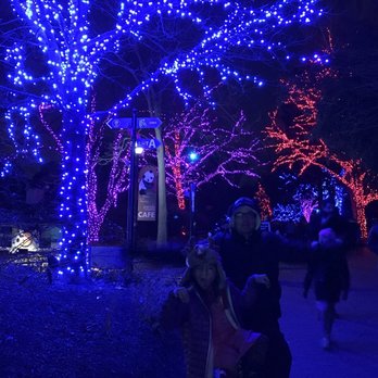 ZooLights - ZooLights with the fams - Zoos Near Me - Washington, DC, District of Columbia