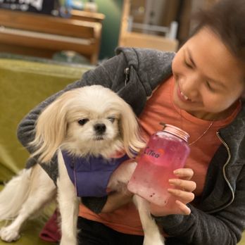 Pawfect Drinks - Make me Thinner! (Name of the drink) - Bubble Tea Near Me - San Gabriel, California