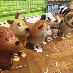 Balloon Events - Y a des petits doggy en ballons, warf.