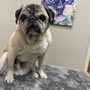 Photo of Quail Ridge Animal Hospital