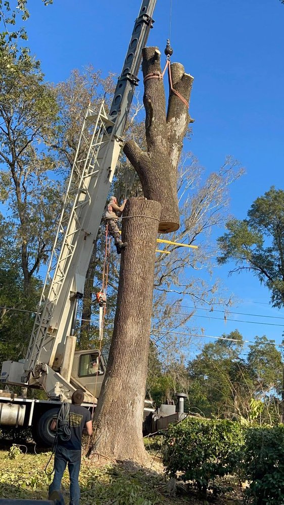 COLE BRACKIN’S TREE SERVICE - Updated December 2025 - Request a Quote ...