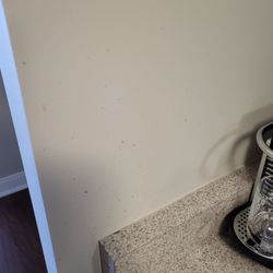 Squeaky Cleaning - Kitchen wall