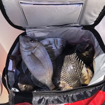 Super Hawk - Caught some fish yay! - Fishing Near Me - Point Lookout, New York