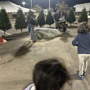 Lamb's Christmas Trees, Fairfieid - Christmas Trees Near Me - Fairfield, California Lamb's Christmas Trees, Fairfieid - Christmas Trees Near Me - Fairfield, California