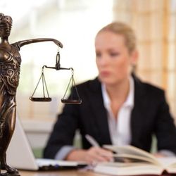 Law Offices of Michael D Luppi