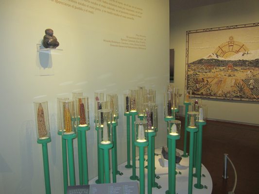 Museo Regional de Querétaro by null