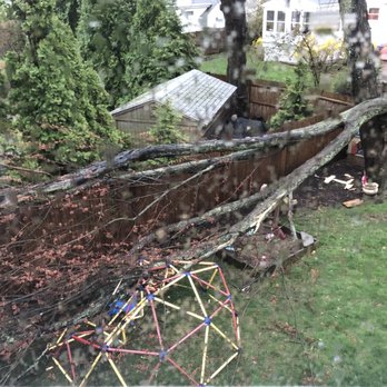 Connolly Equipment - Original downed tree after the storm. - Tree Services Near Me