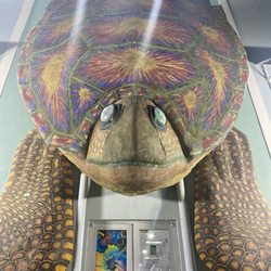 Turtle Island - Giant sea turtle art