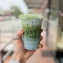Matcha Magic Bellevue