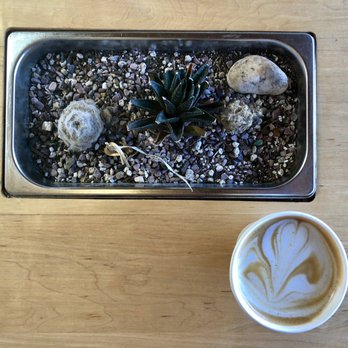 Dinosaur Coffee - Coffee & Tea Near Me - Los Angeles, California Dinosaur Coffee - Coffee & Tea Near Me - Los Angeles, California