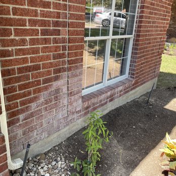 ProGreen Clean - Before the treatment - Pressure Washers Near Me