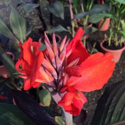Obiettivo Garden