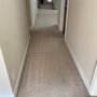 Photo of Carolina Carpet Medic