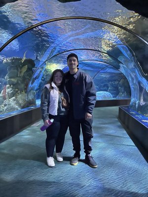 Omaha's Henry Doorly Zoo and Aquarium by null