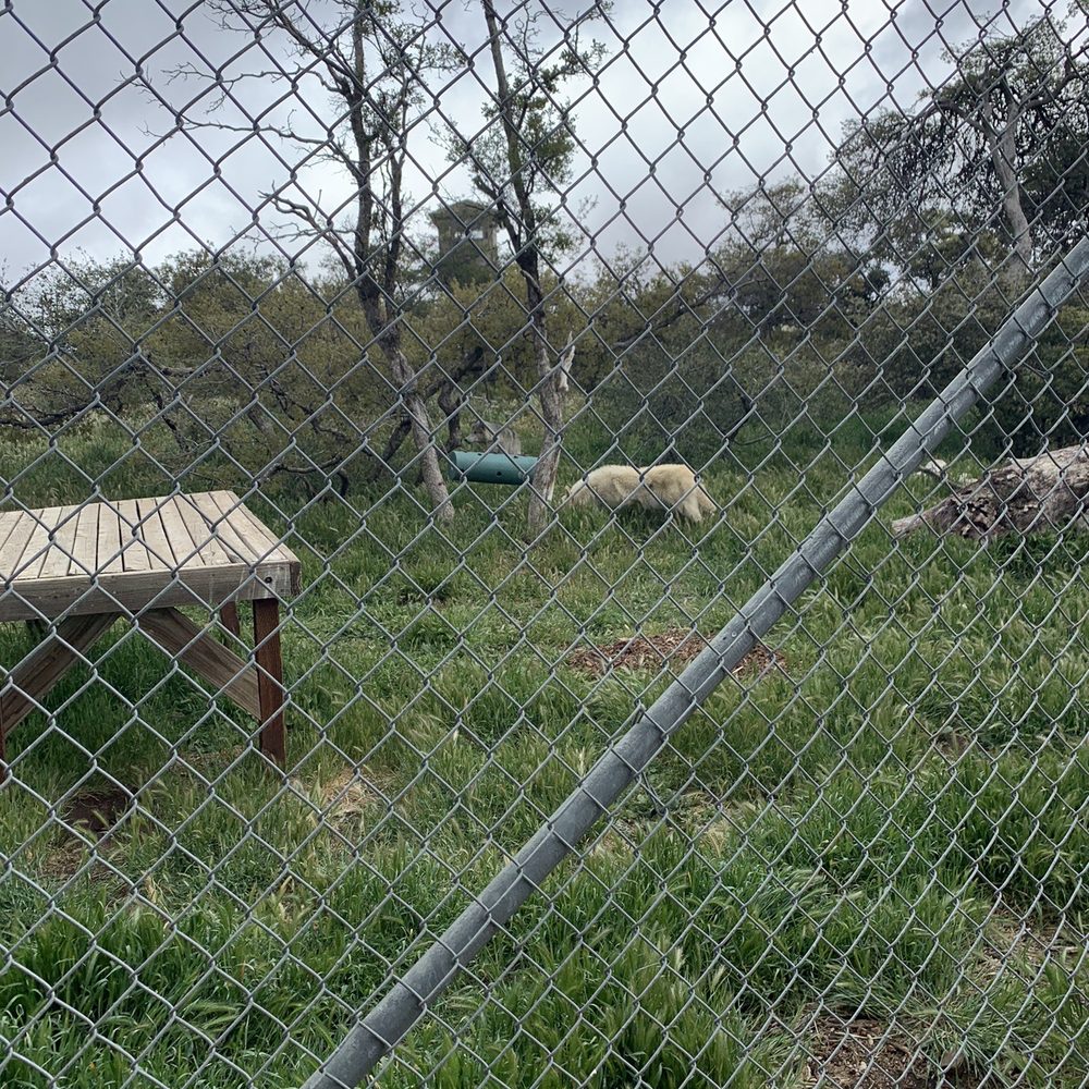 California Wolf Center - Zoos Near Me - Julian, California California Wolf Center - Zoos Near Me - Julian, California