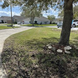 2111 Lawn Care - My lawn after the services