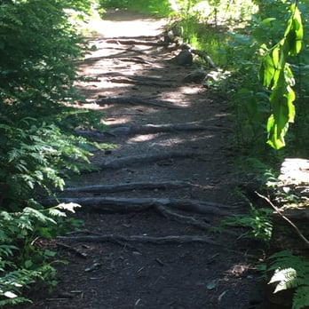 Rainbow-Sproatt-Flank Trail - Scenic, but would be tricky in anything lighter than trail runners. - Hiking Near Me - Whistler, British Columbia Rainbow-Sproatt-Flank Trail - Scenic, but would be tricky in anything lighter than trail runners. - Hiking Near Me - Whistler, British Columbia