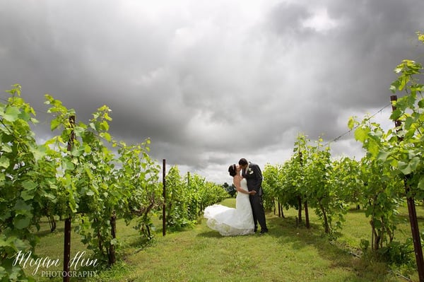 Grace Hill Winery by null