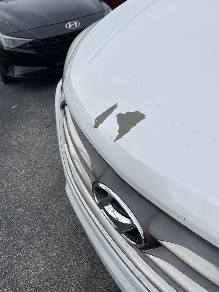 RED HOAGLAND HYUNDAI Updated September 2024 54 Reviews 6375