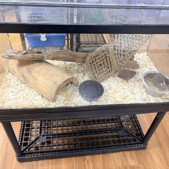Bay Area Exotic Pets - Pet Stores Near Me - La Porte, Texas Bay Area Exotic Pets - Pet Stores Near Me - La Porte, Texas