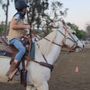 Photo of Ortega Equestrian Center