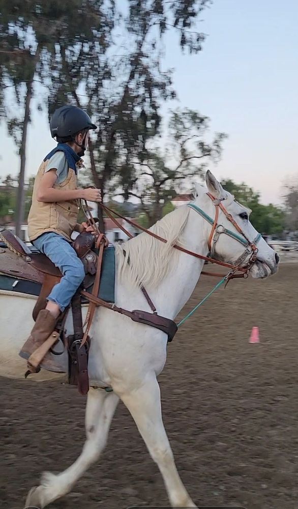 Ortega Equestrian Center - equestrian in San Juan Capistrano, CA