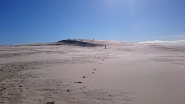 Råbjerg Mile by null