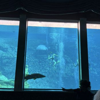 Weeki Wachee Springs - Mermaid show--the main attraction! - Amusement Parks Near Me - Spring Hill, Florida