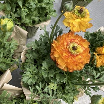 Bachman's Minneapolis - Nurseries & Gardening Near Me - Minneapolis, Minnesota