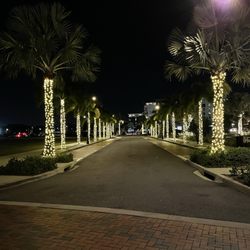 Illuminate The Seasons