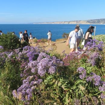Coast Walk Trail - Hiking Near Me - San Diego, California