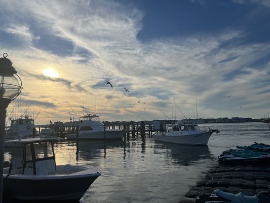 Angler Restaurant & Bar by null