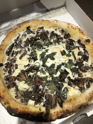 Napolita Pizzeria & Wine Bar, Wilmette by null