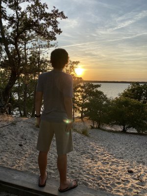 Carolina Beach State Park by null