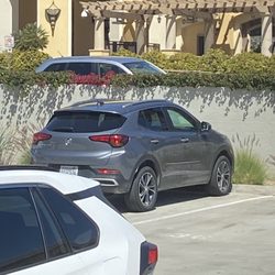 Dollar Car Rental