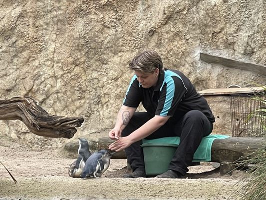 National Aquarium of New Zealand by null