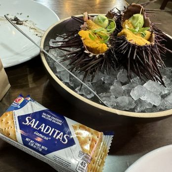 Holbox - Sea Urchin and Scallop Ceviche - Latin American Near Me - Los Angeles, California Holbox - Sea Urchin and Scallop Ceviche - Latin American Near Me - Los Angeles, California