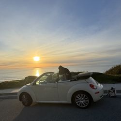 Lavere's VW & Audi Only
