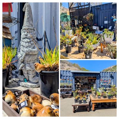 Ventura Botanical Gardens by null