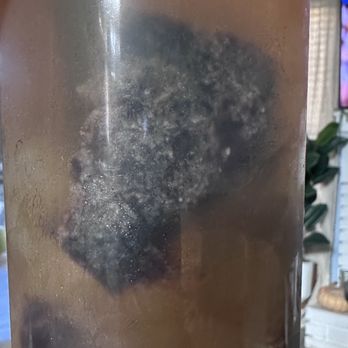 Yoxi Teatime - Moldy black grass jelly - Bubble Tea Near Me - Glendora, California