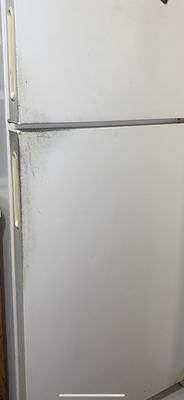 London Terrace by null